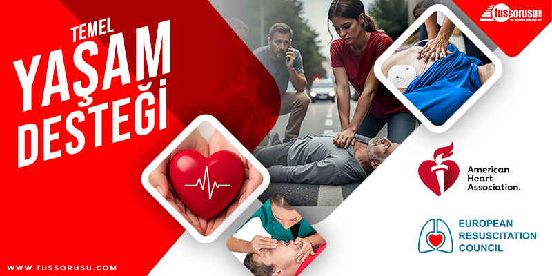 temel-yasam-destegii-kursu-banner